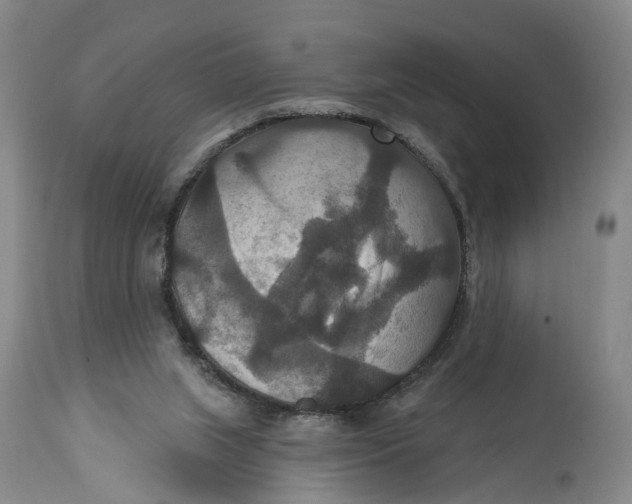 X0000114730063200911121804