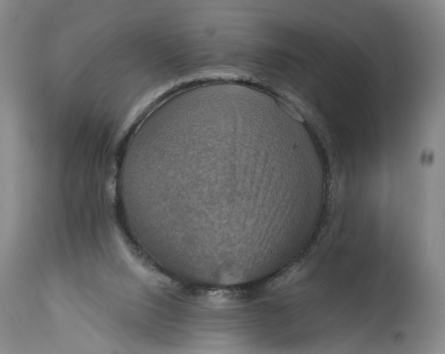 X0000114730064200911121804