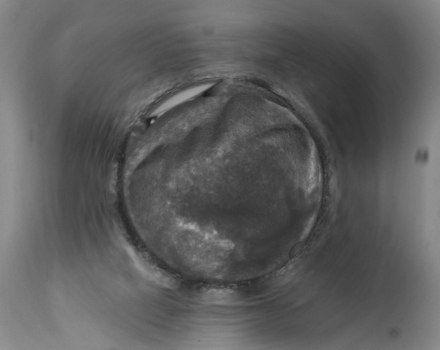 X0000114730066200911121804