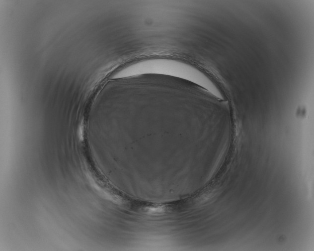 X0000114730068200911121804