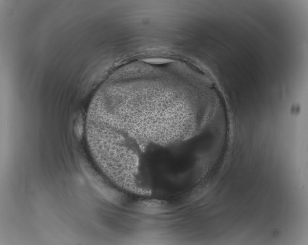 X0000114730069200911121804