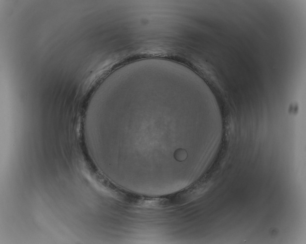 X0000114730072200911121804