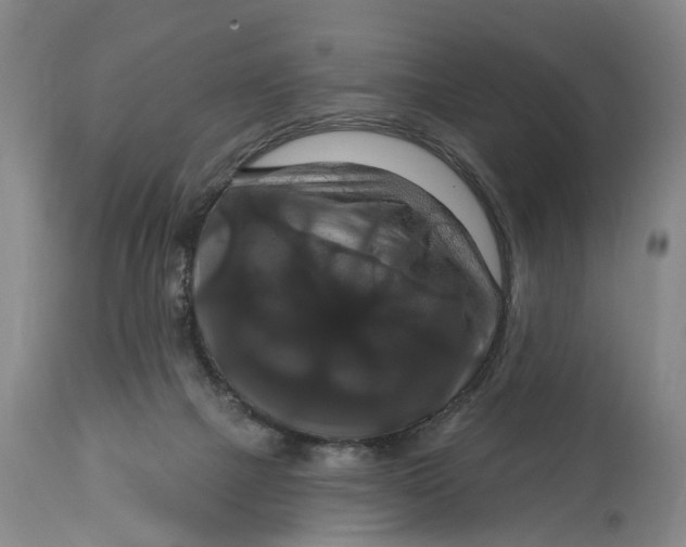 X0000114730073200911121804