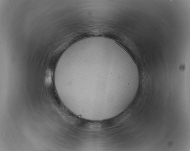 X0000114730075200911121804