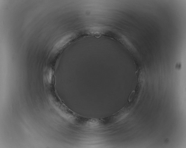 X0000114730076200911121804