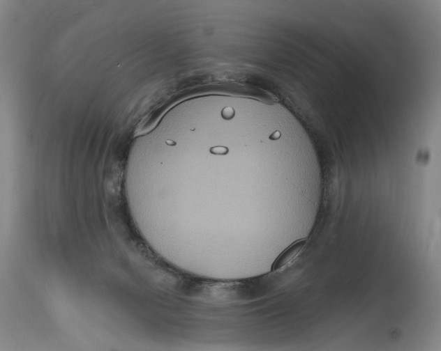 X0000114730078200911121804