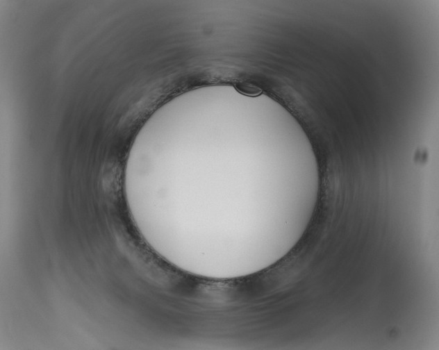 X0000114730079200911121804