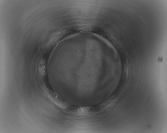 X0000114730080200911121804