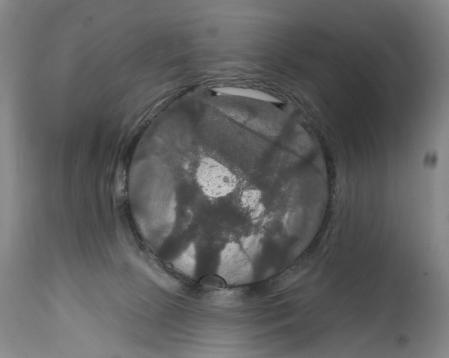 X0000114730081200911121804