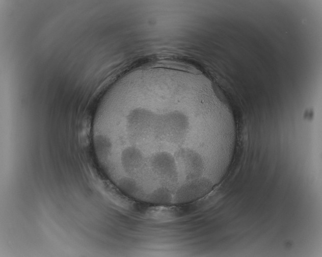 X0000114730082200911121804