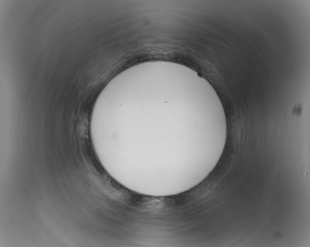 X0000114730083200911121804