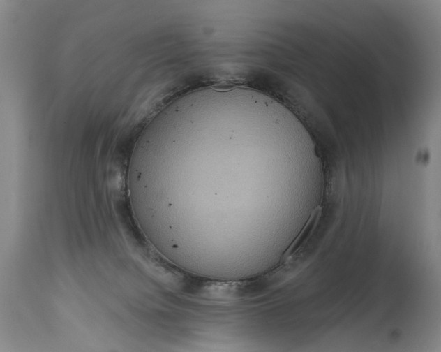 X0000114730084200911121804