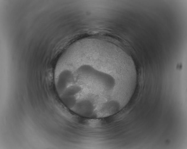 X0000114730085200911121804