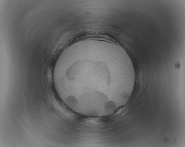 X0000114730086200911121804