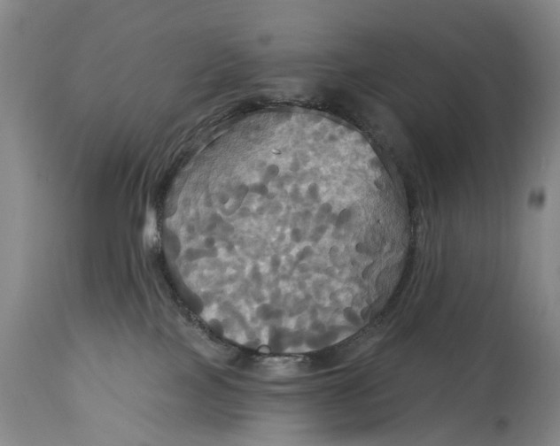 X0000114730089200911121805