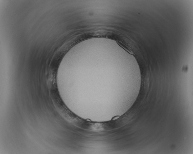 X0000114730091200911121805