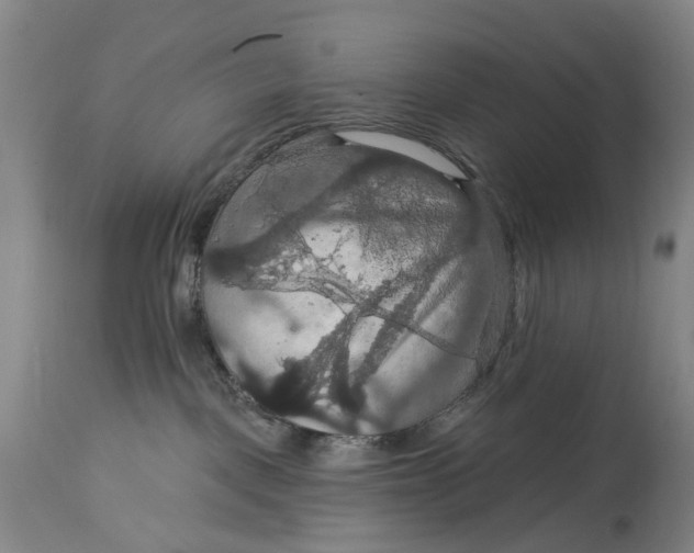 X0000114730093200911121805