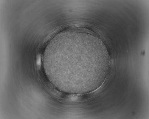 X0000114730094200911121805