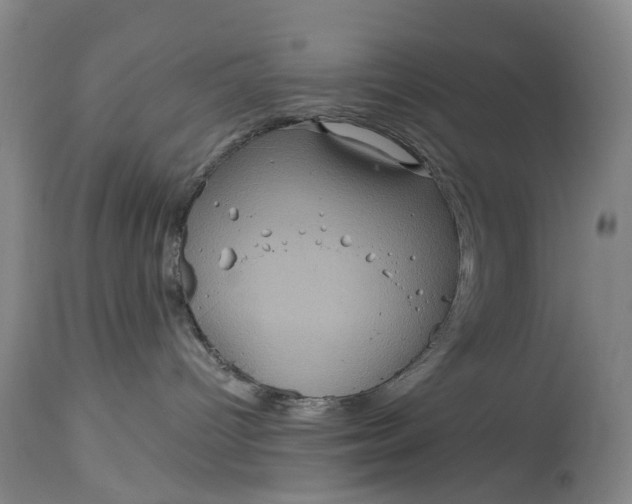 X0000114730096200911121805