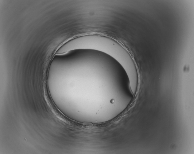 X0000114730097200911121804