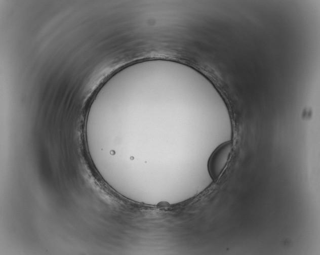 X0000114730098200911121804