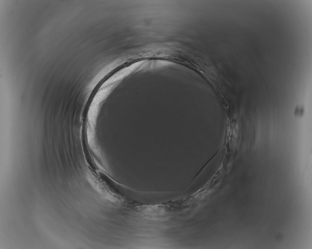 X0000114730100200911121804