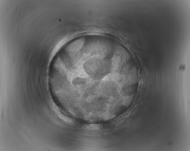 X0000114730102200911121804