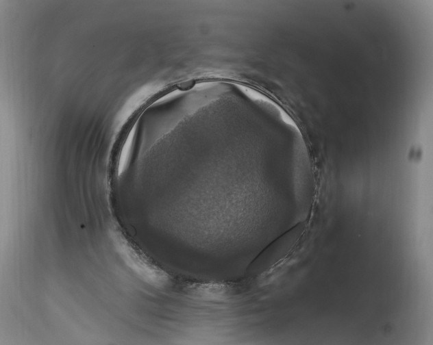 X0000114730104200911121804