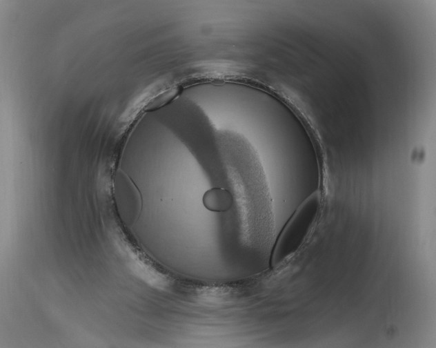 X0000114730105200911121804