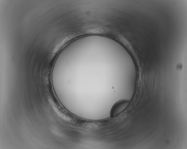 X0000114730106200911121804