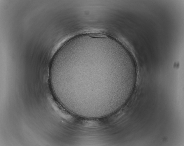 X0000114730107200911121804