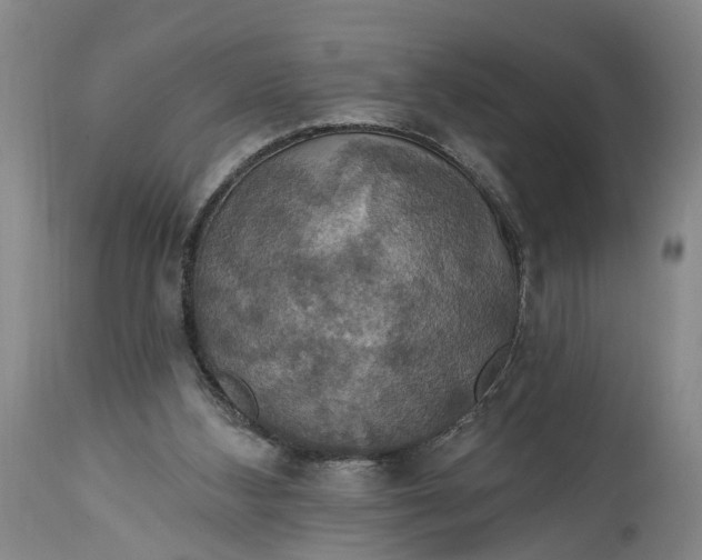 X0000114730108200911121804