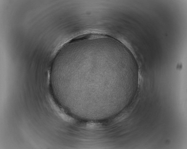 X0000114730109200911121804