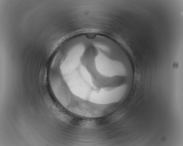 X0000114730110200911121804