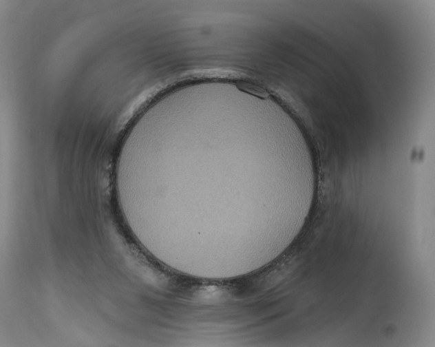 X0000114730111200911121804