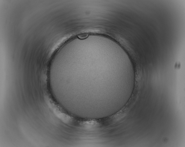 X0000114730112200911121804