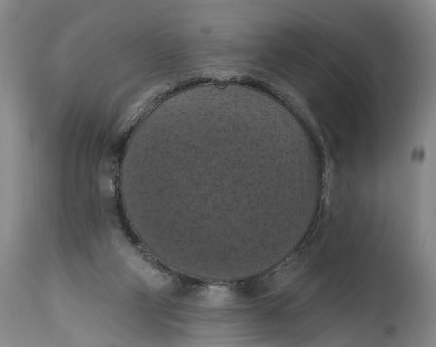 X0000114730114200911121804