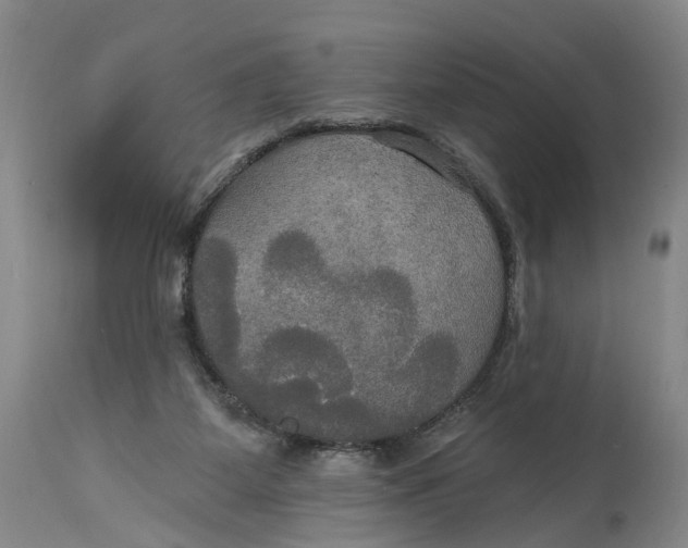 X0000114730115200911121804