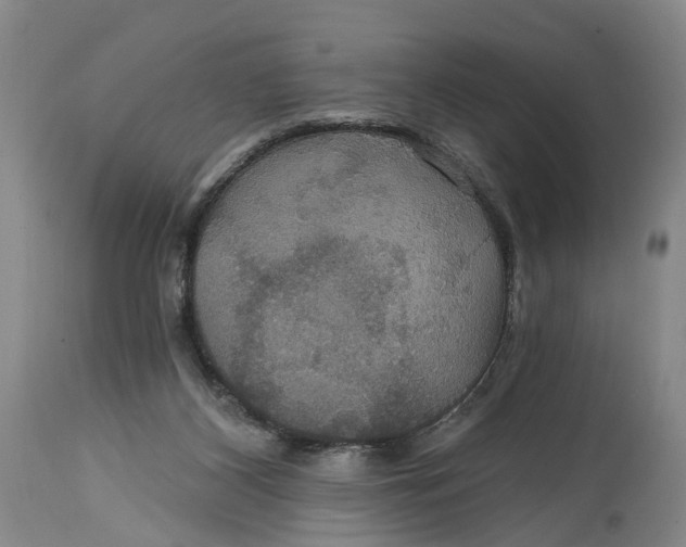 X0000114730116200911121804