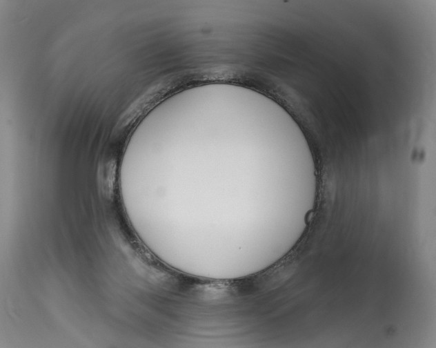 X0000114730118200911121804