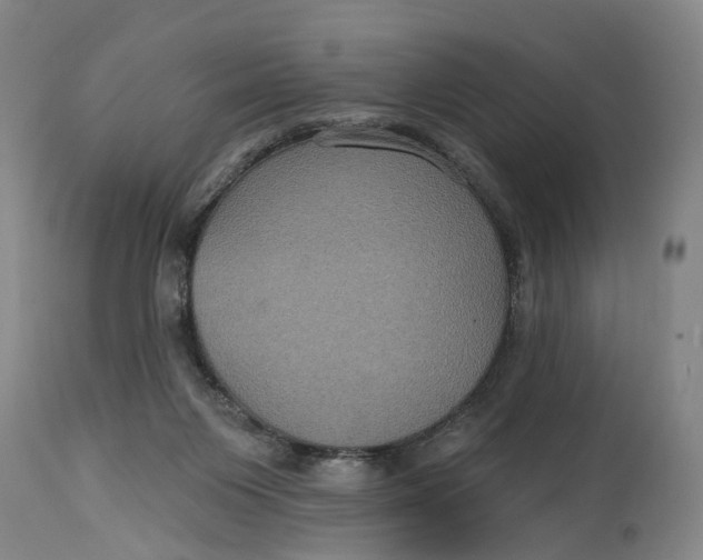 X0000114730119200911121804