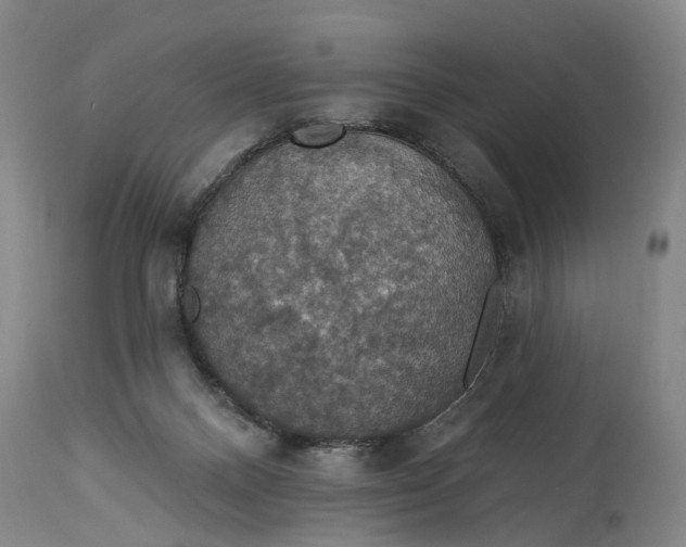 X0000114730120200911121804