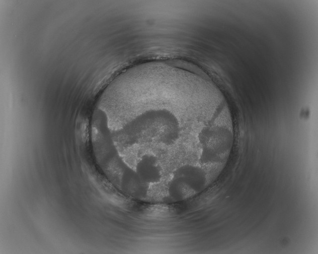 X0000114730123200911121804