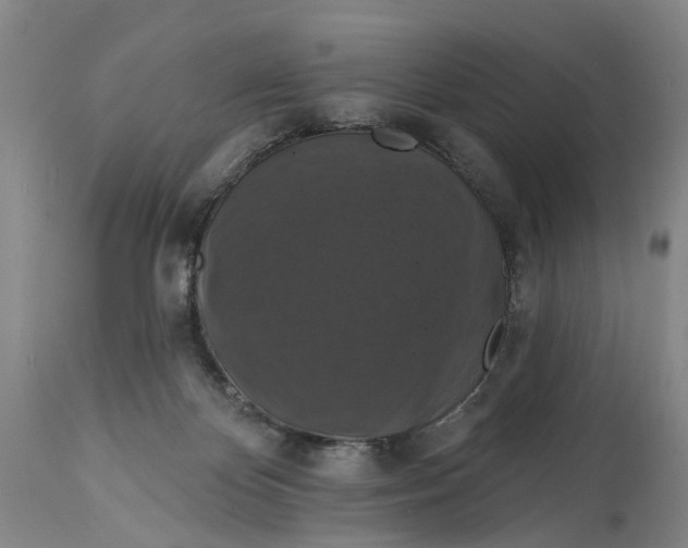 X0000114730124200911121804