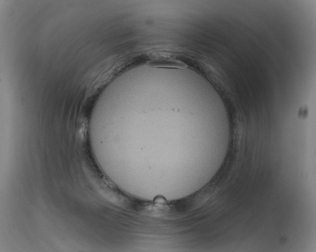 X0000114730125200911121804