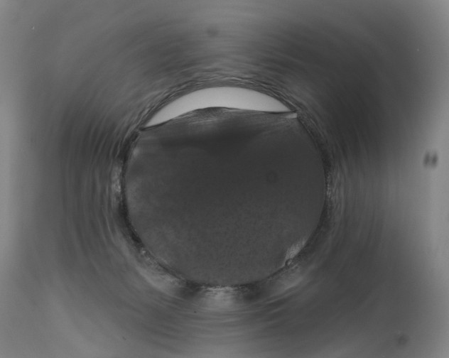 X0000114730127200911121803