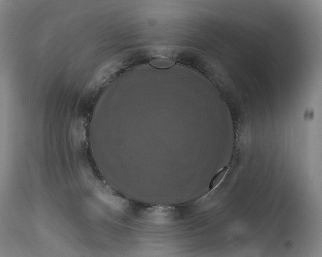 X0000114730128200911121803