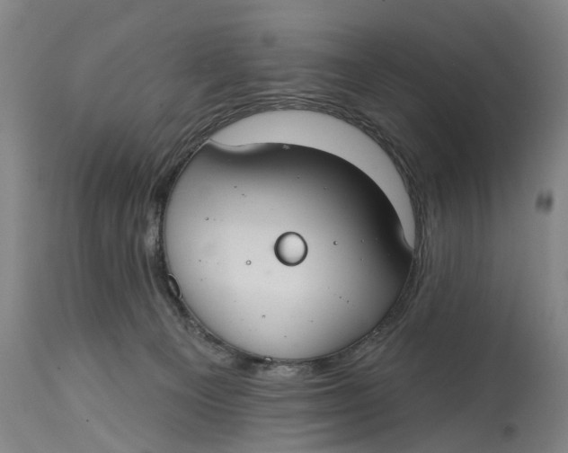 X0000114730129200911121803