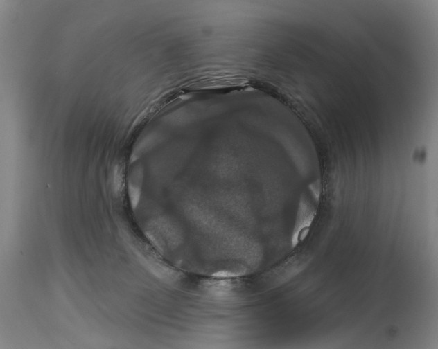 X0000114730131200911121803