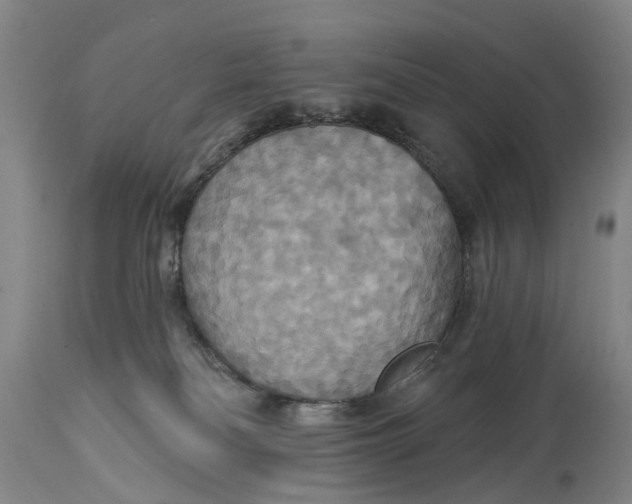 X0000114730134200911121803